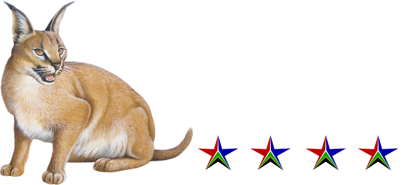 Indabushe_Logo